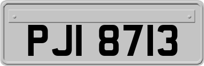 PJI8713