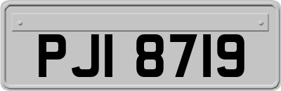 PJI8719