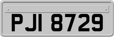 PJI8729