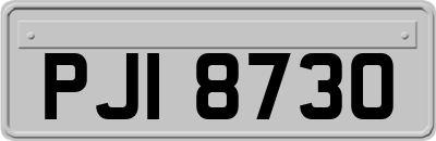 PJI8730