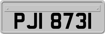 PJI8731