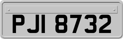 PJI8732