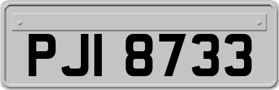PJI8733