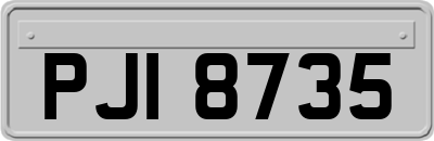 PJI8735