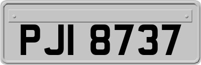PJI8737