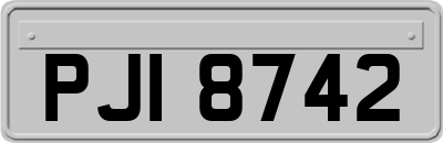 PJI8742