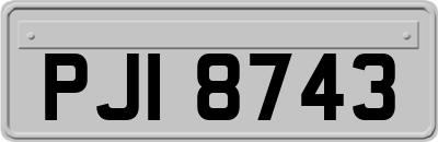 PJI8743