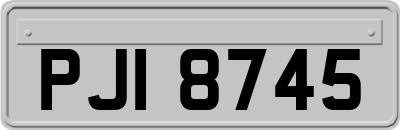 PJI8745