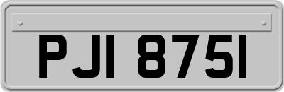 PJI8751