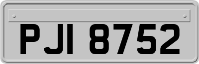 PJI8752