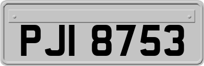 PJI8753