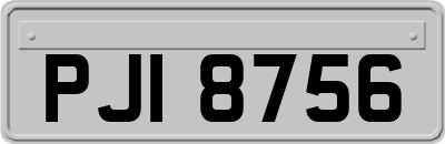 PJI8756