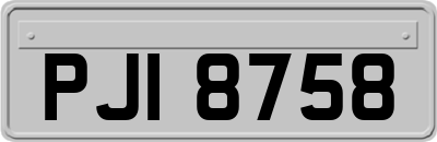 PJI8758