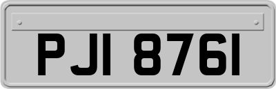 PJI8761