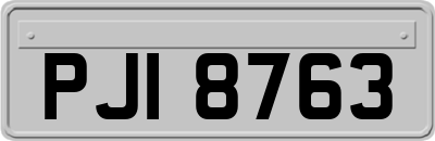 PJI8763