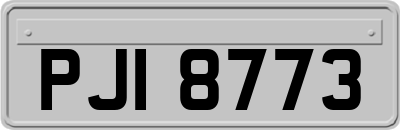 PJI8773