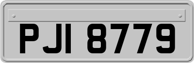 PJI8779