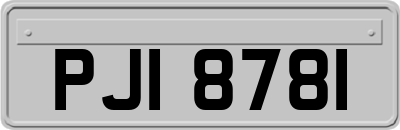 PJI8781