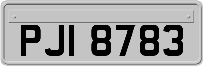 PJI8783