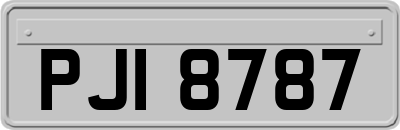 PJI8787