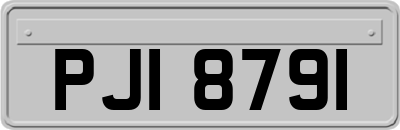 PJI8791