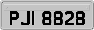 PJI8828