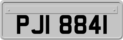 PJI8841