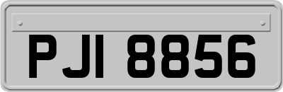 PJI8856