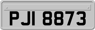 PJI8873