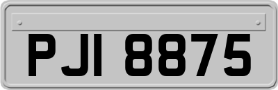 PJI8875