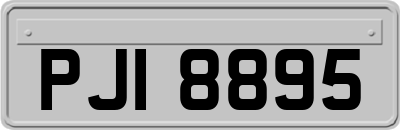 PJI8895
