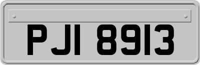 PJI8913