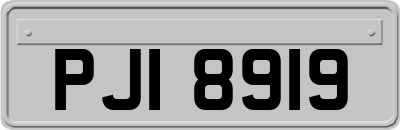PJI8919