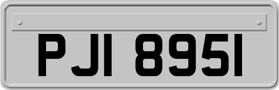 PJI8951