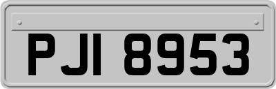 PJI8953