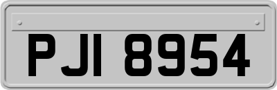 PJI8954