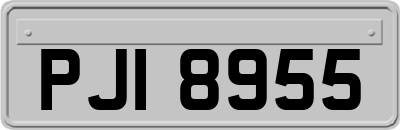 PJI8955