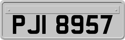 PJI8957