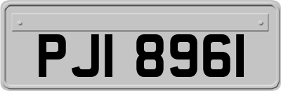 PJI8961