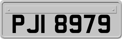 PJI8979