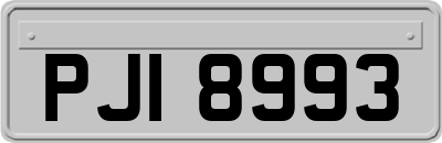 PJI8993