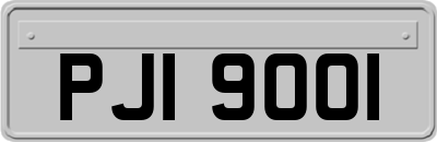 PJI9001