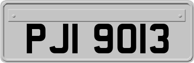 PJI9013