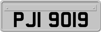 PJI9019