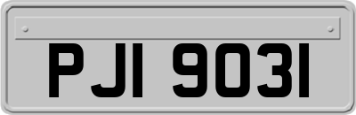 PJI9031
