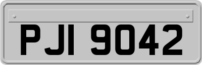 PJI9042