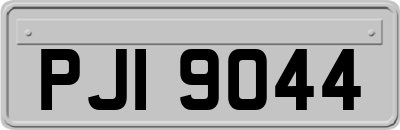 PJI9044