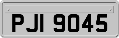 PJI9045