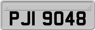 PJI9048