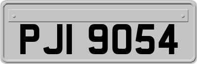 PJI9054